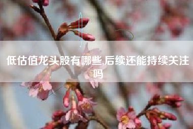 低估值龙头股有哪些,后续还能持续关注吗