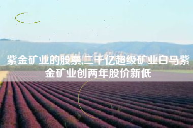 紫金矿业的股票,二千亿超级矿业白马紫金矿业创两年股价新低