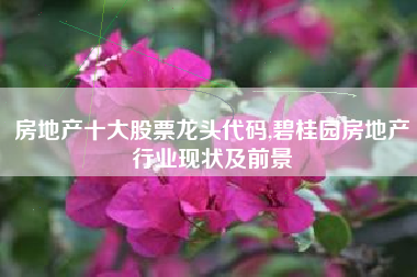 房地产十大股票龙头代码,碧桂园房地产行业现状及前景