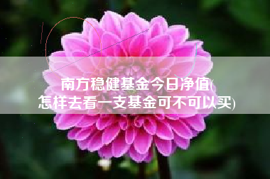 南方稳健基金今日净值(
怎样去看一支基金可不可以买)