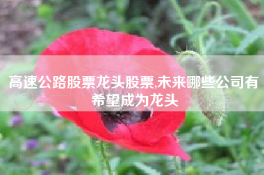 高速公路股票龙头股票,未来哪些公司有希望成为龙头