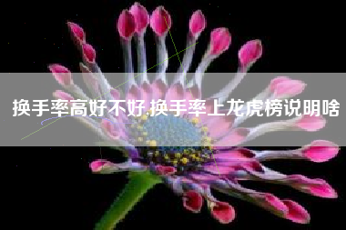 换手率高好不好,换手率上龙虎榜说明啥