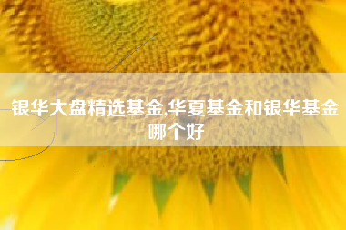 银华大盘精选基金,华夏基金和银华基金哪个好