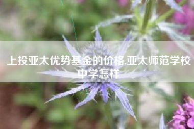 上投亚太优势基金的价格,亚太师范学校中学怎样