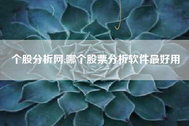 详细阅读:个股分析网,哪个股票分析软件最好用 个股分析网,哪个股票分析软件最好用