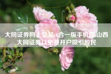 详细阅读:大同证券网上交易v6合一版手机版,山西大同证券以免费开户吸引股民 大同证券网上交易v6合一版手机版,山西大同证券以免费开户吸引股民