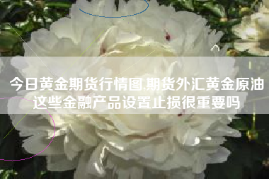 今日黄金期货行情图,期货外汇黄金原油这些金融产品设置止损很重要吗