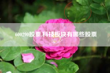 600290股票,科技板块有哪些股票