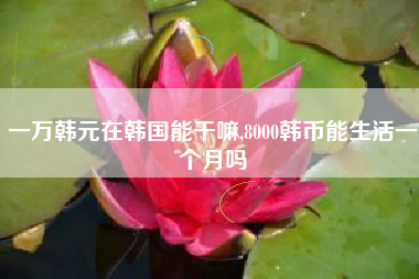 一万韩元在韩国能干嘛,8000韩币能生活一个月吗