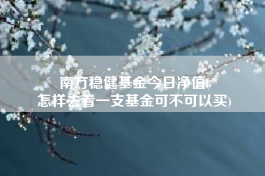 南方稳健基金今日净值(
怎样去看一支基金可不可以买)