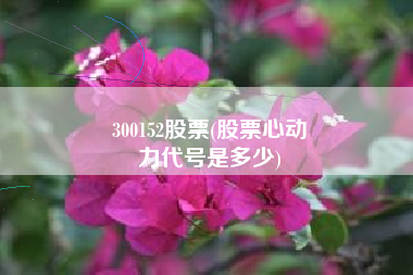 300152股票(股票心动
力代号是多少) 300152股票(股票心动
力代号是多少)