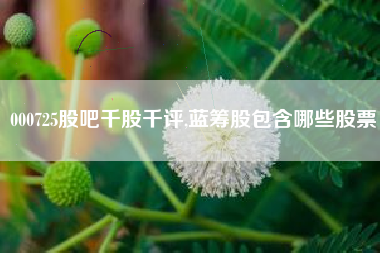 000725股吧千股千评,蓝筹股包含哪些股票