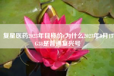 复星医药2023年目标价(为什么2023年8月13G34是普通复兴号
) 复星医药2023年目标价(为什么2023年8月13G34是普通复兴号
)