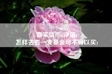 嘉实货币a净值(
怎样去看一支基金可不可以买)