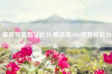 摩洛哥葡萄牙比分,摩洛哥2018世界杯比分