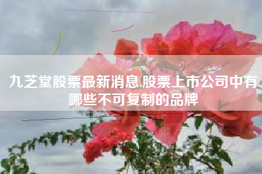 九芝堂股票最新消息,股票上市公司中有哪些不可复制的品牌