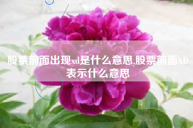 股票前面出现xd是什么意思,股票前面XD表示什么意思