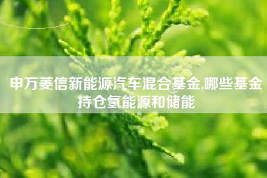 申万菱信新能源汽车混合基金,哪些基金持仓氢能源和储能