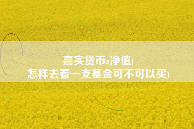 嘉实货币a净值(
怎样去看一支基金可不可以买)