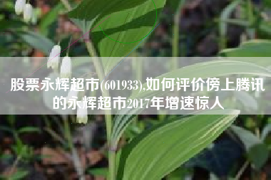 股票永辉超市(601933),如何评价傍上腾讯的永辉超市2017年增速惊人