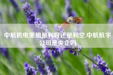 中航机电重组是利好还是利空,中航航宇公司是央企吗