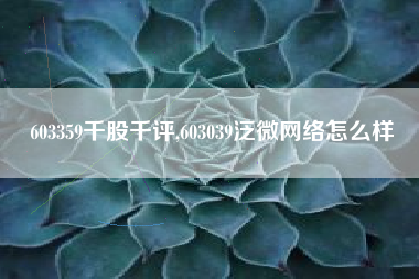 603359千股千评,603039泛微网络怎么样