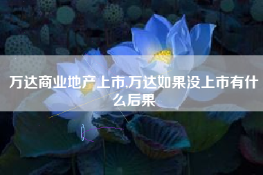 万达商业地产上市,万达如果没上市有什么后果