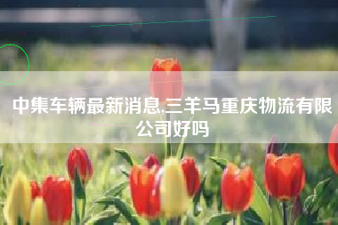 中集车辆最新消息,三羊马重庆物流有限公司好吗