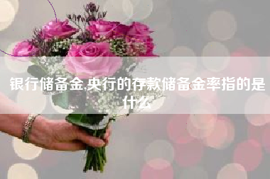 银行储备金,央行的存款储备金率指的是什么