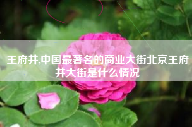 王府井,中国最著名的商业大街北京王府井大街是什么情况