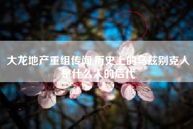 大龙地产重组传闻,历史上的乌兹别克人是什么人的后代