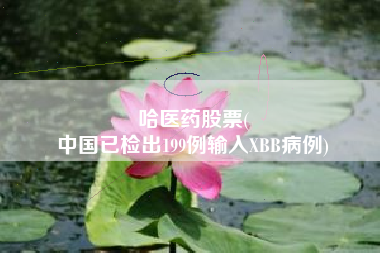 哈医药股票(
中国已检出199例输入XBB病例)