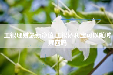 工银理财最新净值,工银添利宝可以随时赎回吗