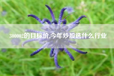 300002的目标价,今年炒股选什么行业