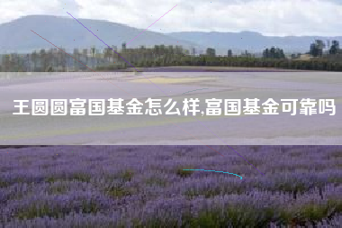 王圆圆富国基金怎么样,富国基金可靠吗