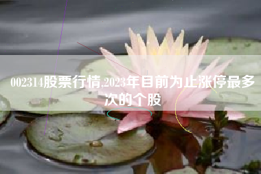 002314股票行情,2023年目前为止涨停最多次的个股