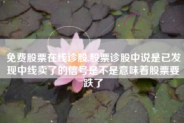 免费股票在线诊股,股票诊股中说是已发现中线卖了的信号是不是意味着股票要跌了