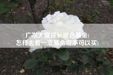 广发大盘成长混合基金(
怎样去看一支基金可不可以买) 广发大盘成长混合基金(
怎样去看一支基金可不可以买)