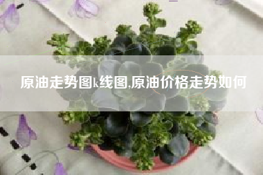 原油走势图k线图,原油价格走势如何
