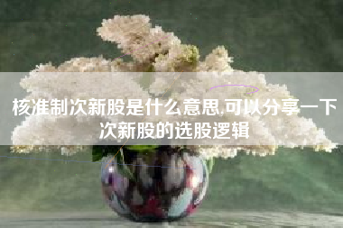 核准制次新股是什么意思,可以分享一下次新股的选股逻辑