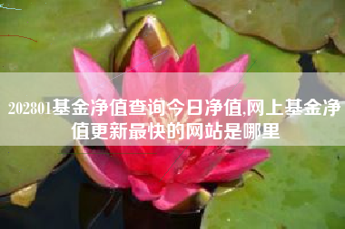 202801基金净值查询今日净值,网上基金净值更新最快的网站是哪里