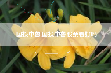 国投中鲁,国投中鲁股票看好吗