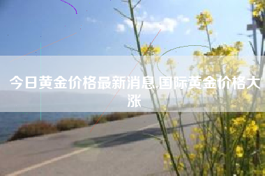 今日黄金价格最新消息,国际黄金价格大涨