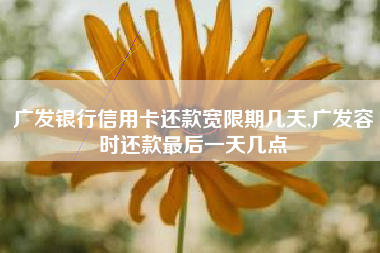 广发银行信用卡还款宽限期几天,广发容时还款最后一天几点