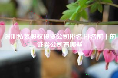 深圳私募股权投资公司排名,排名前十的证券公司有哪些