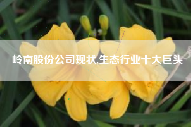 岭南股份公司现状,生态行业十大巨头