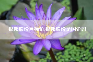银邦股份目标价,银邦股份是国企吗