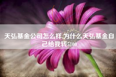 天弘基金公司怎么样,为什么天弘基金自己给我转5100