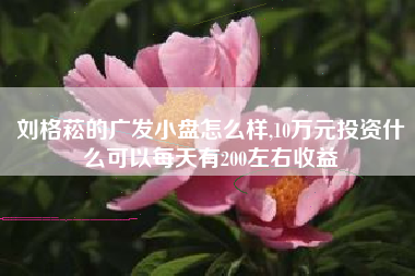 刘格菘的广发小盘怎么样,10万元投资什么可以每天有200左右收益