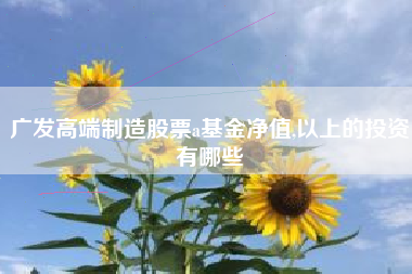 广发高端制造股票a基金净值,以上的投资有哪些